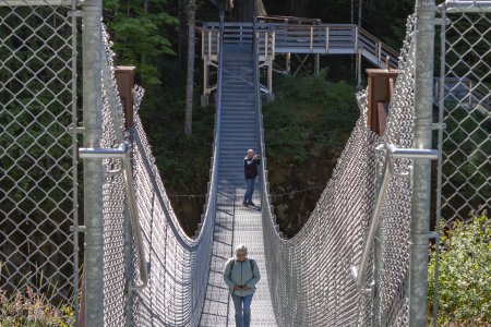 De hangbrug in de zon boven de Elk Falls